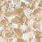 Caramel Marble Large