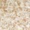 Caramel Marble Small